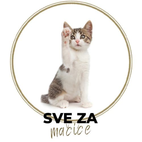 SVE ZA MAČIĆE