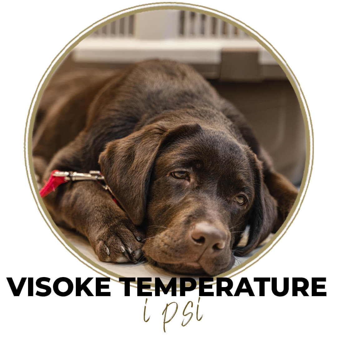 VISOKE TEMPERATURE I PSI
